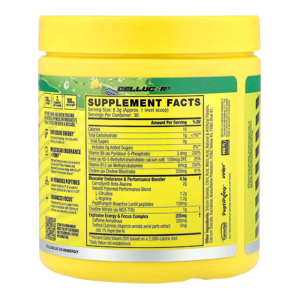 WhatsApp Image 2026-02-19 at 2.52.46 PM (1)