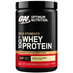 WHEY PROTEIN 310G